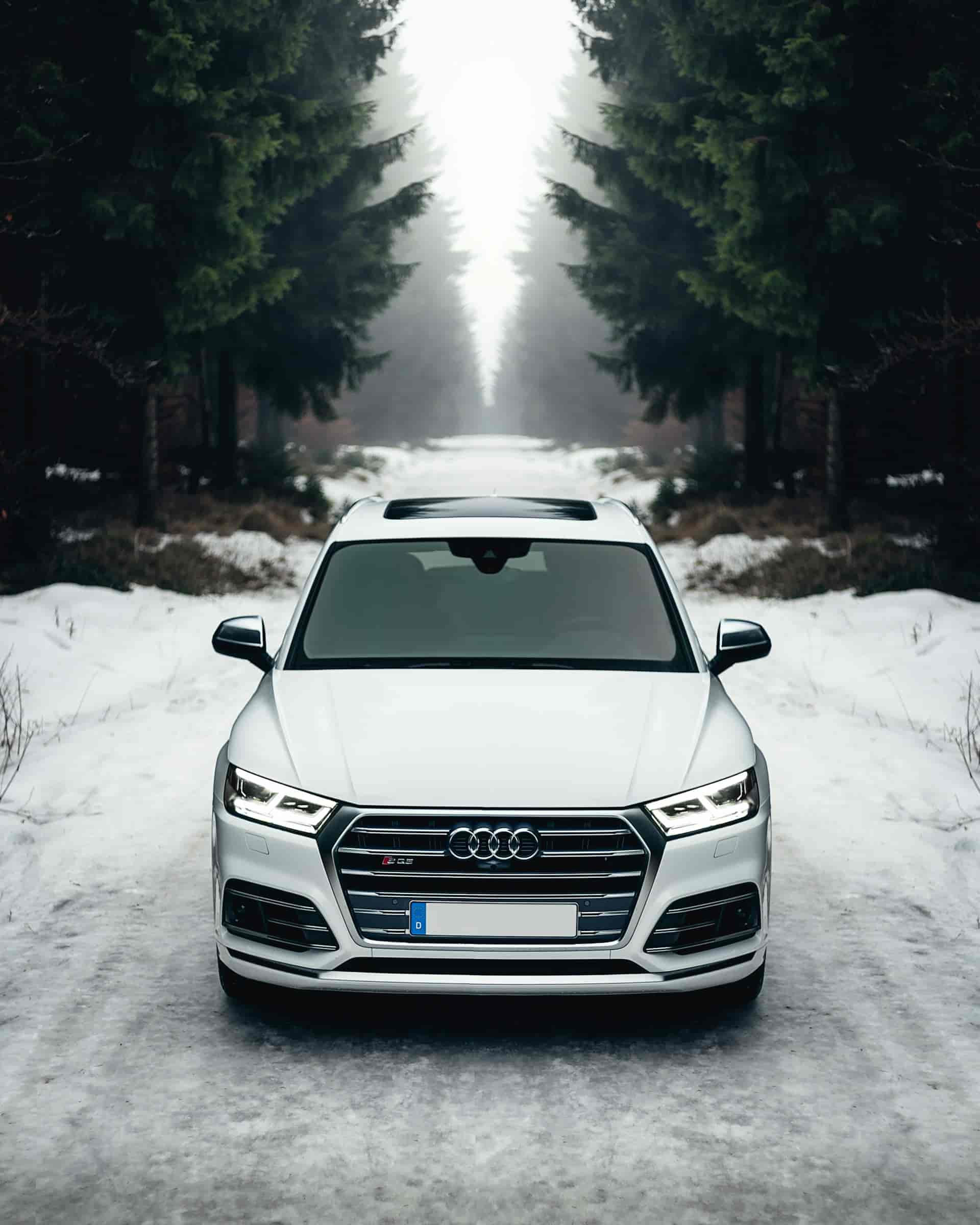 White Audi Q5 parked on a snow-covered forest road flanked by tall pine trees in a misty winter landscape
